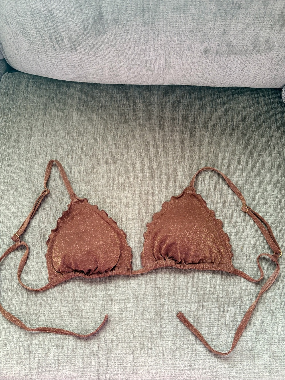 Brown Shimmer Abercrombie Women Bikini